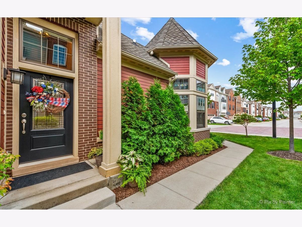 Townhomes & Homes Sold Pleasant Square Schaumburg Illinois, 19 Dana Catherine