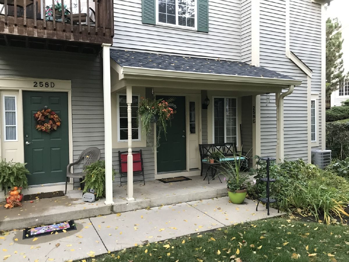 Townhomes & Condos Rented Concord Woods South Elgin Illinois, 258 Windsor