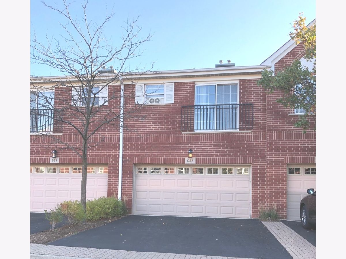 Townhomes Rented Northbrook Greens Northbrook Illinois, 987 Kensington