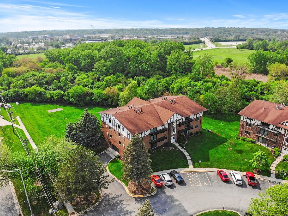Condominiums Sold Green Valley Palos Hills Illinois, 11000 Theresa