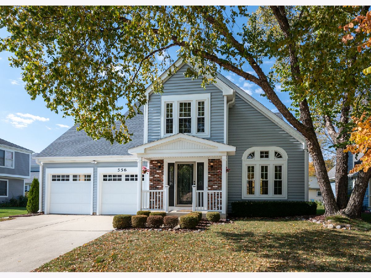 Homes Rented Westgate Elk Grove Village Illinois, 556 Delmar