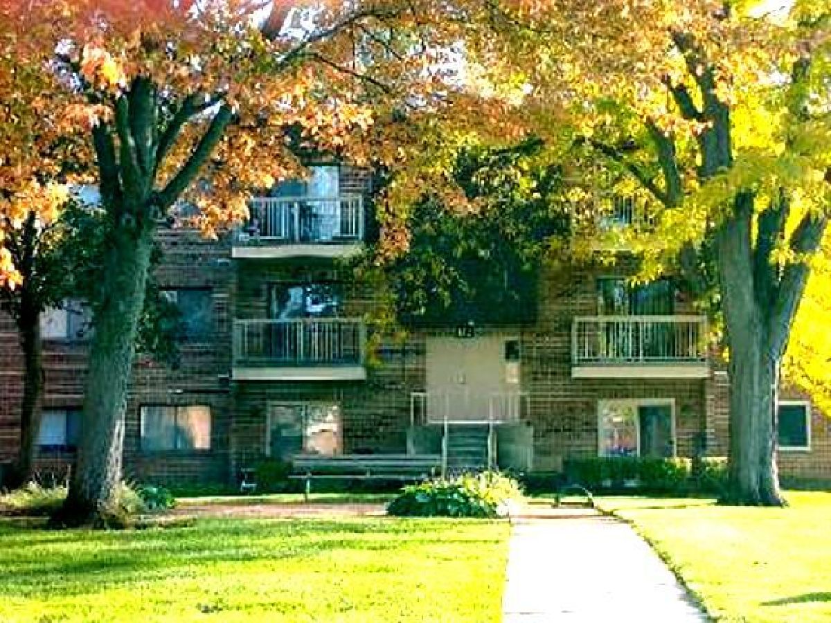 Condominiums Sold Central Village Mount Prospect Illinois, 613 Central