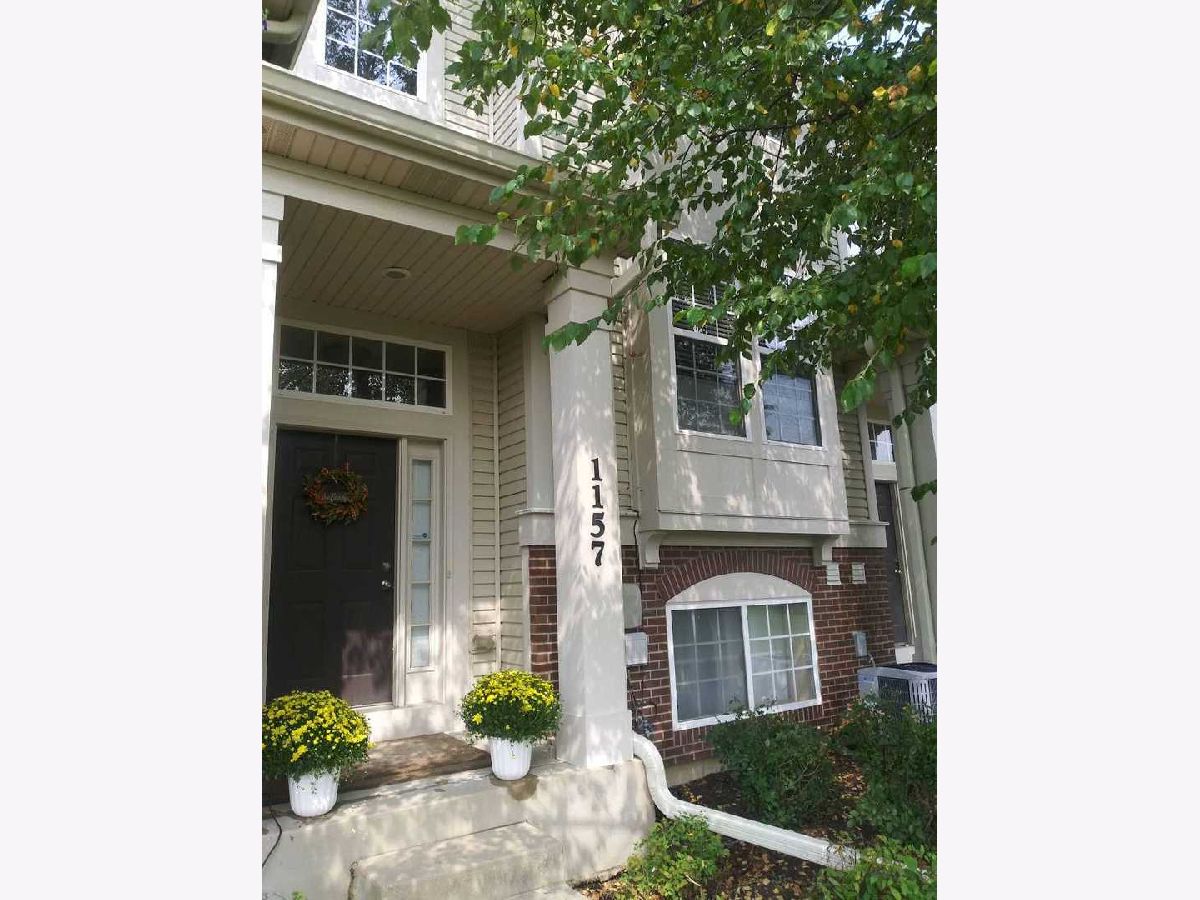 Townhomes & Condos & Homes Rented Randall Highlands North Aurora Illinois, 1157 Comiskey