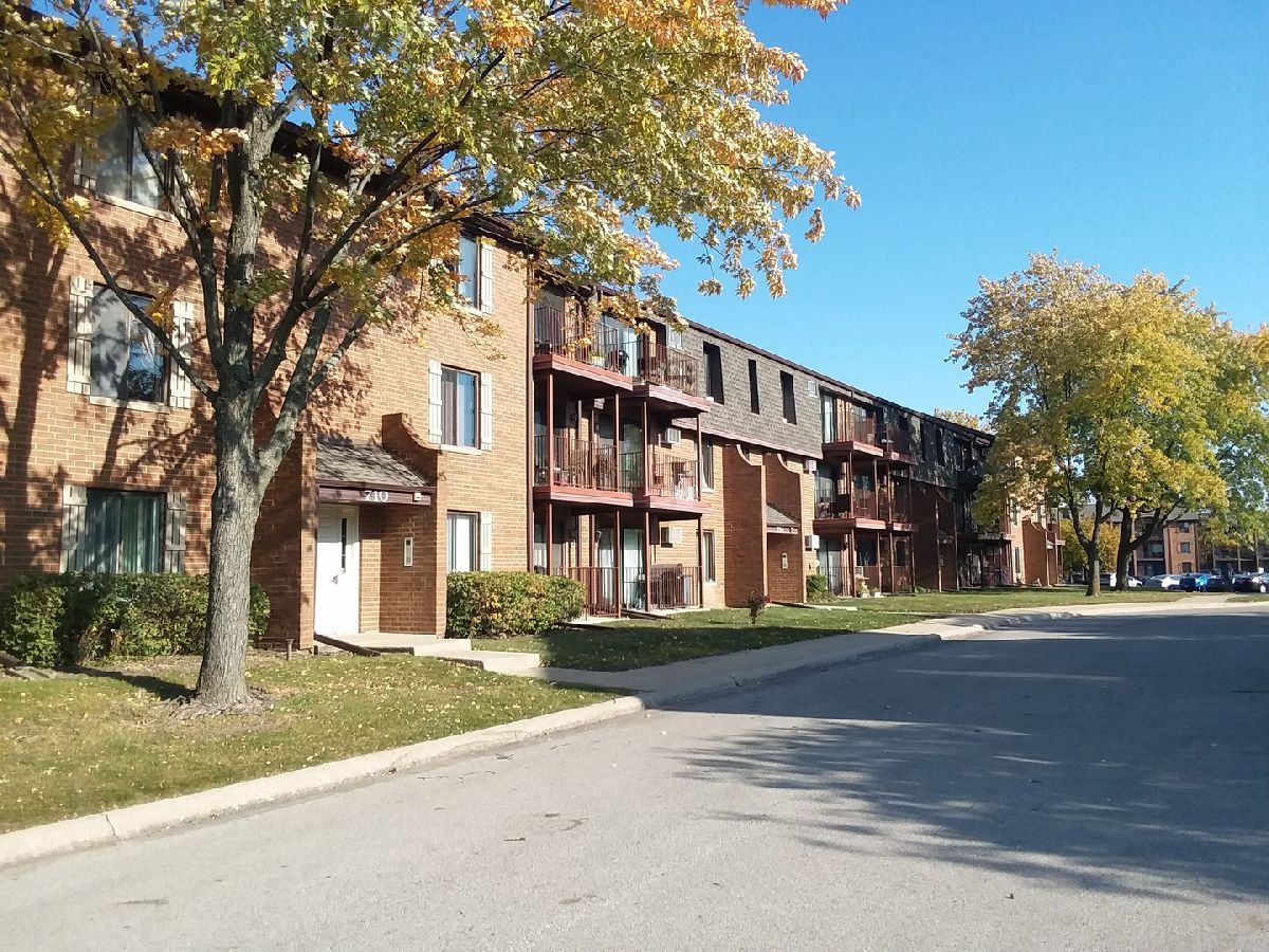 Condominiums Rented Briar Hill Addison Illinois, 716 Briar Hill