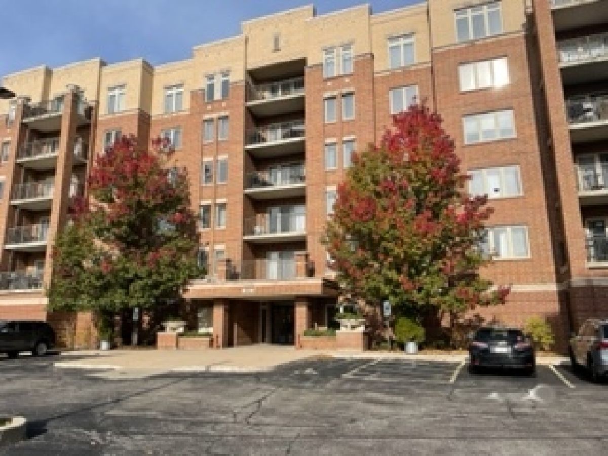 Condominiums Sold Park Place Elk Grove Village Illinois, 635 Perrie