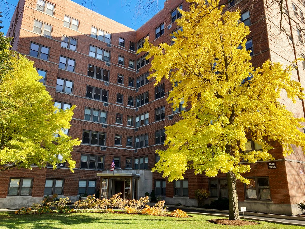 Condos & Townhomes Sold Ridge Davis Coop Evanston Illinois, 1585 Ridge