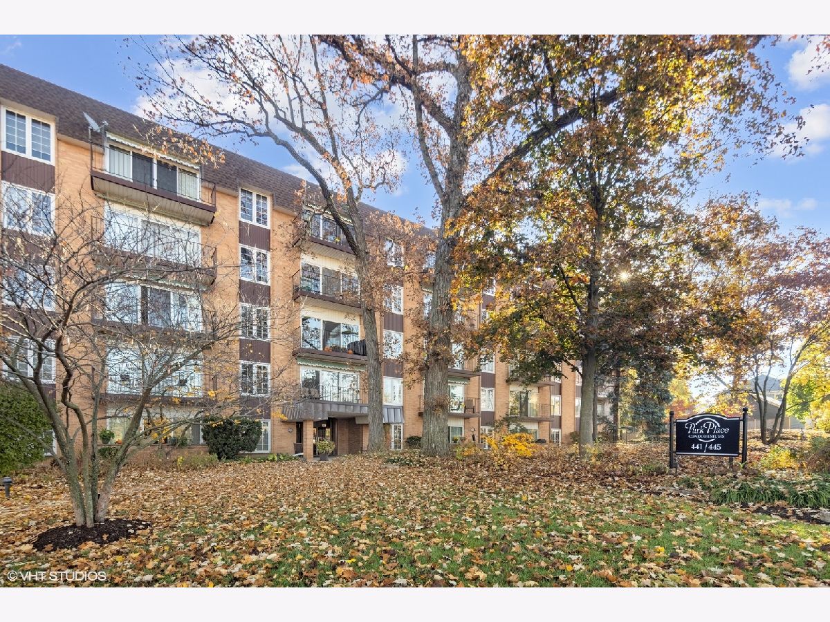 Condominiums Sold Park Place Glen Ellyn Illinois, 441 Park