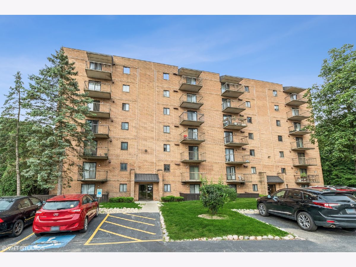 Condos & Townhomes & Homes Sold Edgewater Walk Tinley Park Illinois, 6050 Lake Bluff