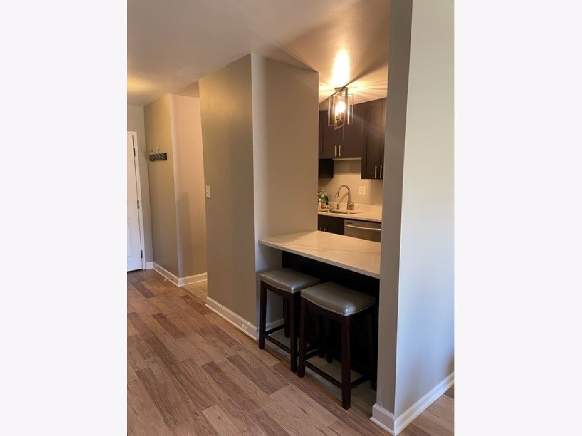 Condominiums & Homes Sold Lake Louise Palatine Illinois, 500 Wilke
