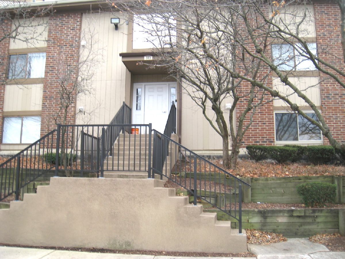 Condos & Townhomes Rented Lofty Condos Bartlett Illinois, 383 Wilmington