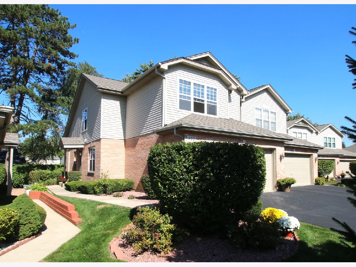 Townhomes Sold Rose Garden Roselle Illinois, 872 Rosebud