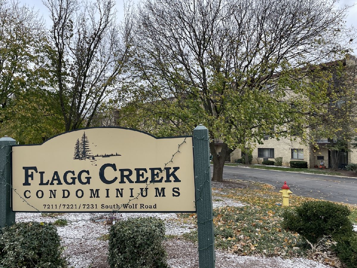 Condominiums Sold Flagg Creek Indian Head Park Illinois, 7211 Wolf