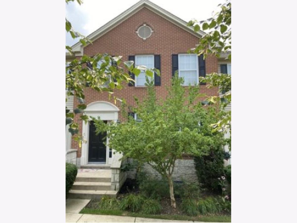 Townhomes Sold Renaissance Station Willow Springs Illinois, 118 Willow