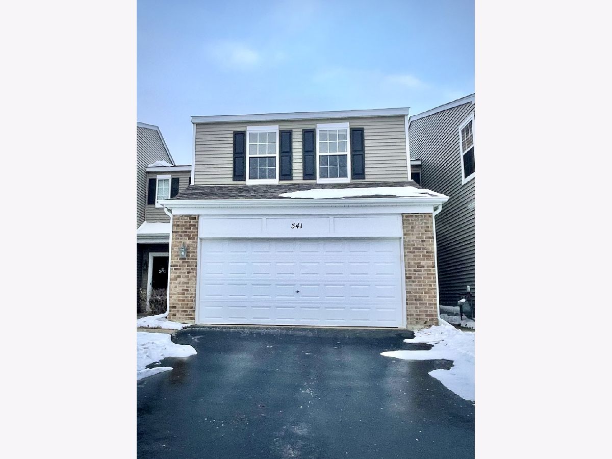 Townhomes Rented Springbrook Townhomes Oswego Illinois, 541 Springbrook