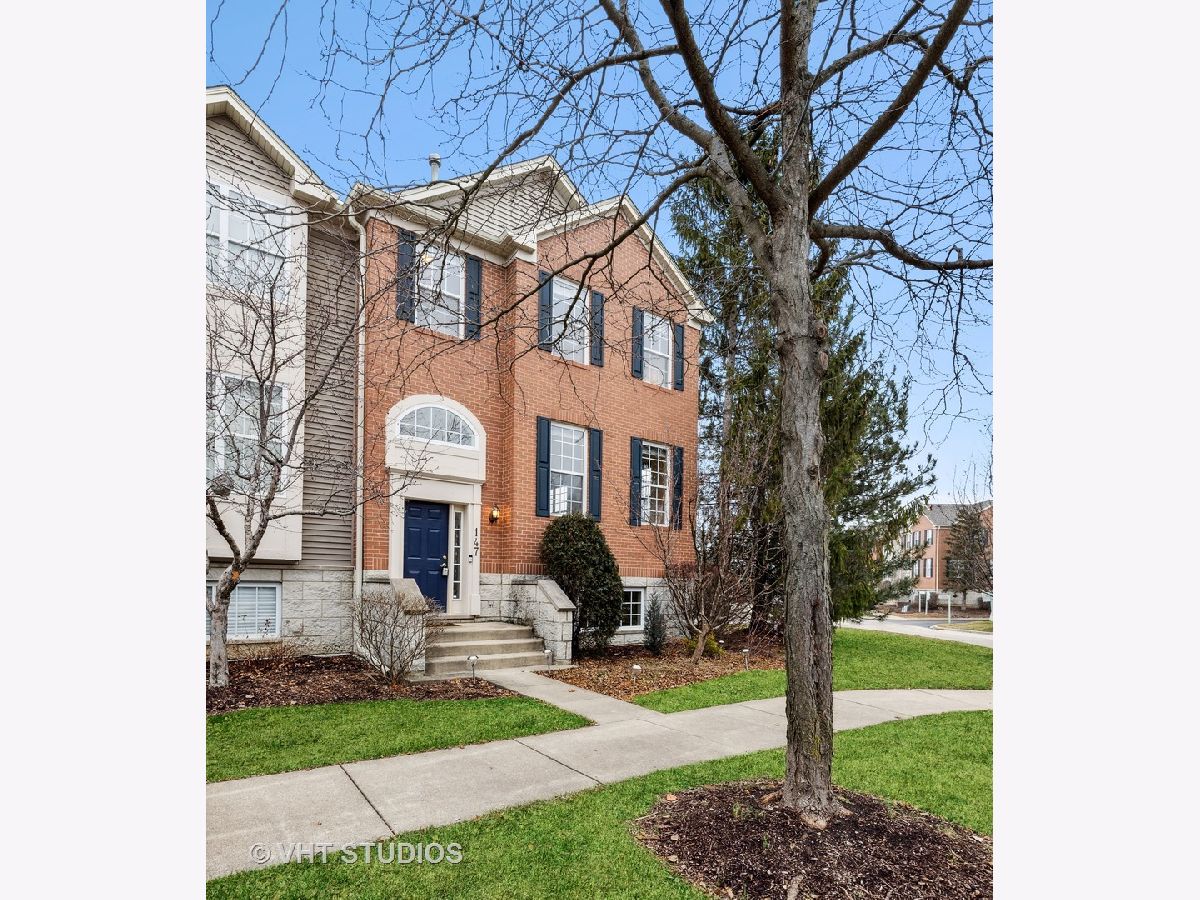 Townhomes Sold Renaissance Station Willow Springs Illinois, 147 Willow