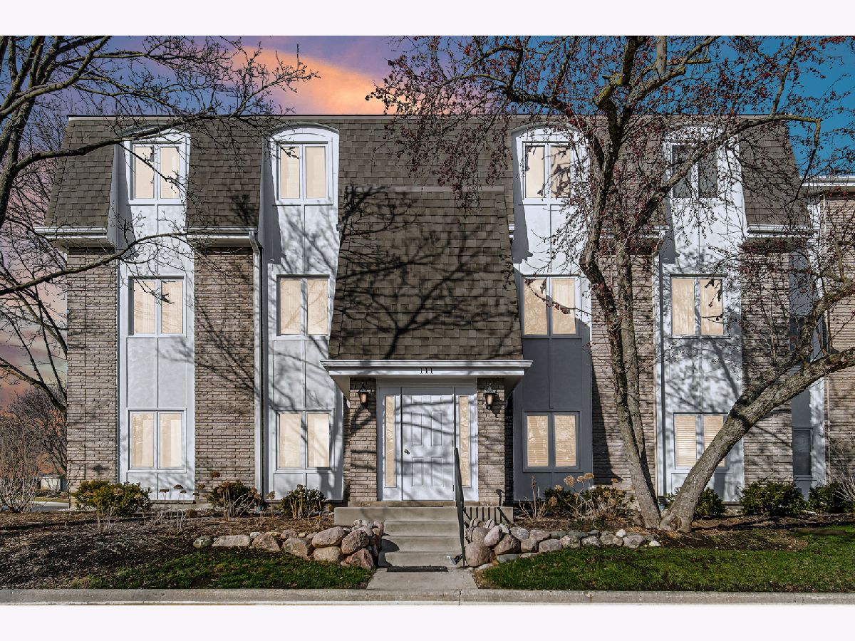 Condominiums Rented Cambridge Green Libertyville Illinois, 111 Winchester