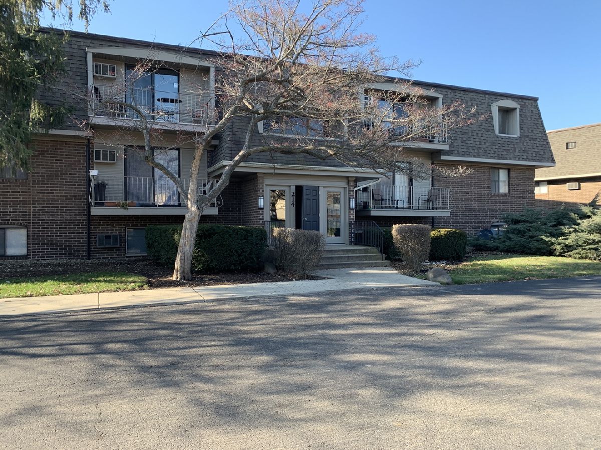 Condominiums Rented Olive Trees Naperville Illinois, 214 Bailey