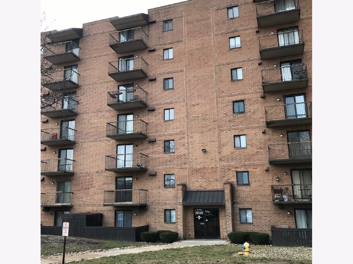 Condos & Townhomes & Homes Sold Edgewater Walk Tinley Park Illinois, 6040 Lake Bluff