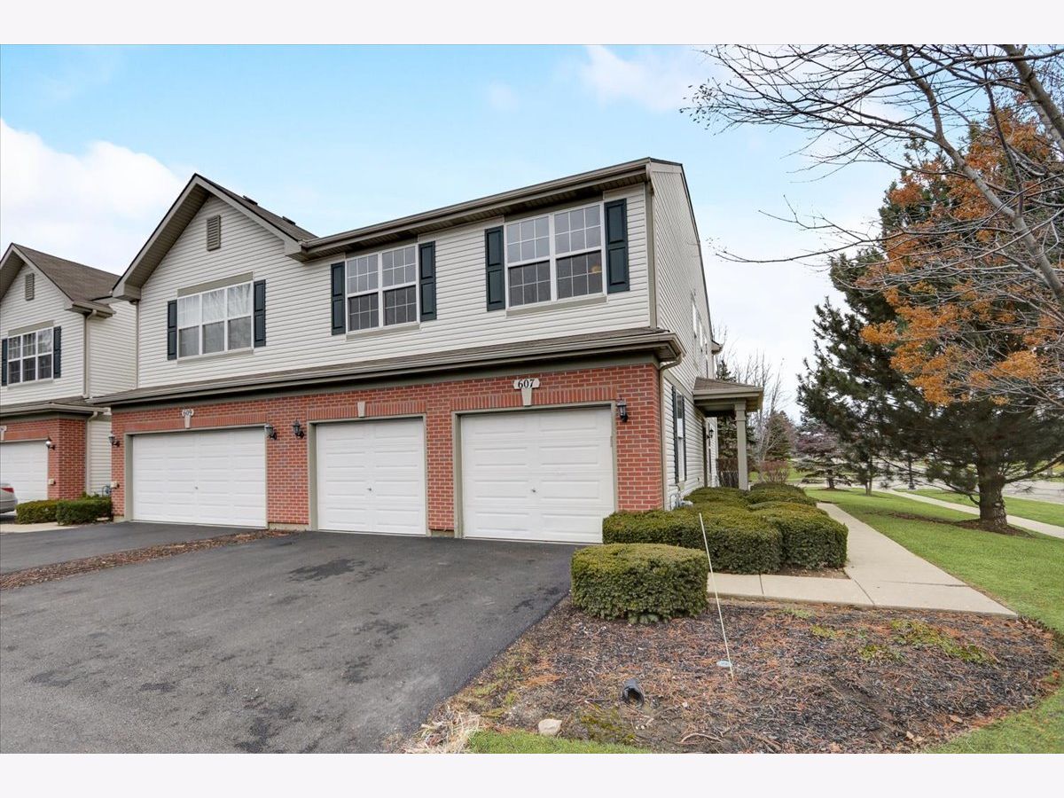 Townhomes Sold Fairfield Lakes Round Lake Illinois, 607 Red Deer