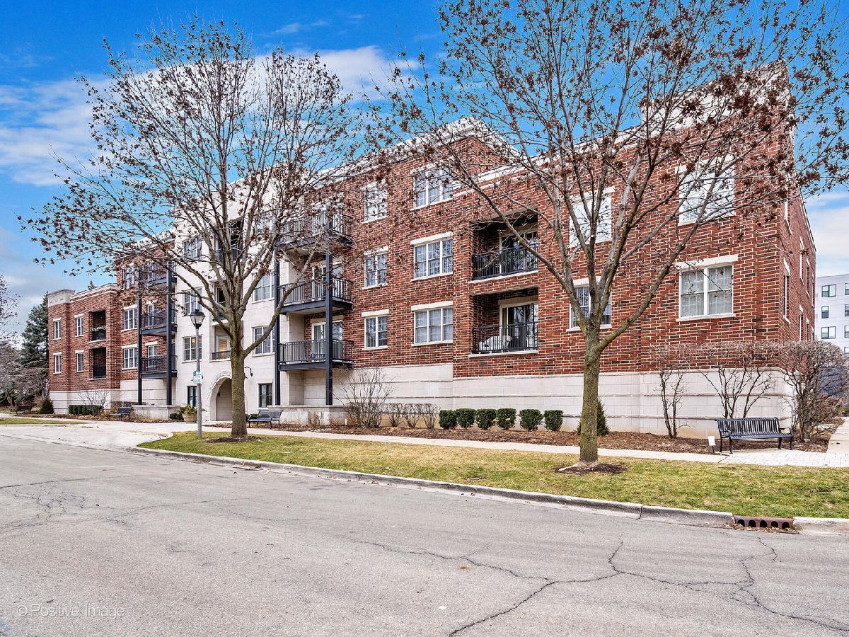 Condominiums Sold The Park Elm Elmhurst Illinois, 111 Larch