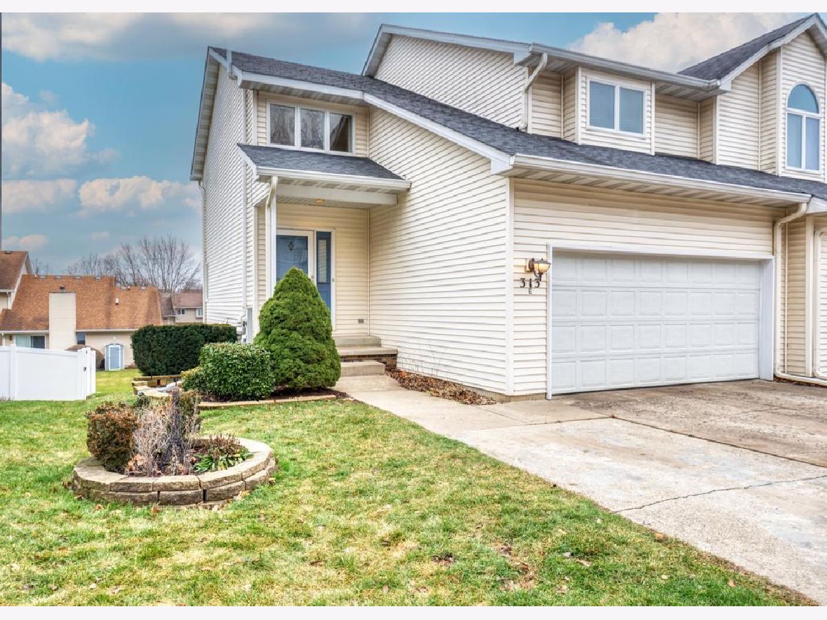 Condos & Townhomes Sold Vista Commons Minooka Illinois, 313 Vista