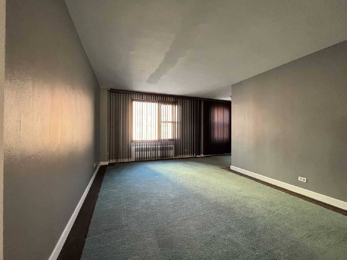 7363 South Shore Drive, Chicago, Illinois 60649 MLS 11701596