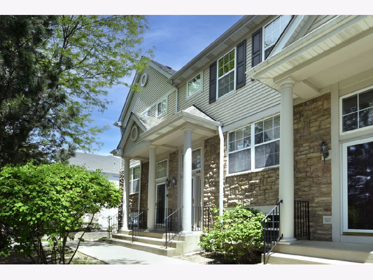 Townhomes & Homes Sold Insignia Court Palatine Illinois, 872 Insignia