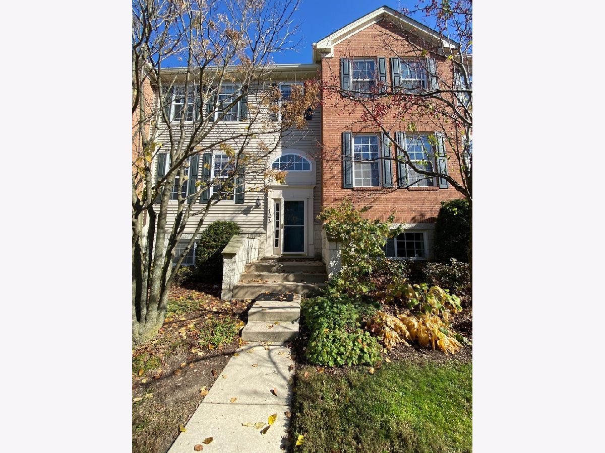 Townhomes Rented Renaissance Station Willow Springs Illinois, 123 Patrick