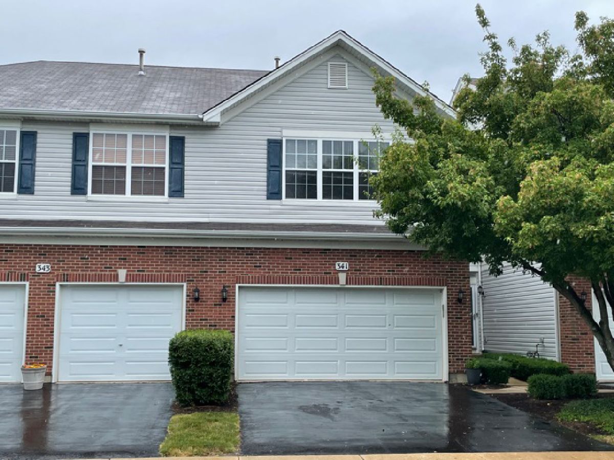 Townhomes & Homes Rented Blackberry Knoll Oswego Illinois, 341 Grapevine