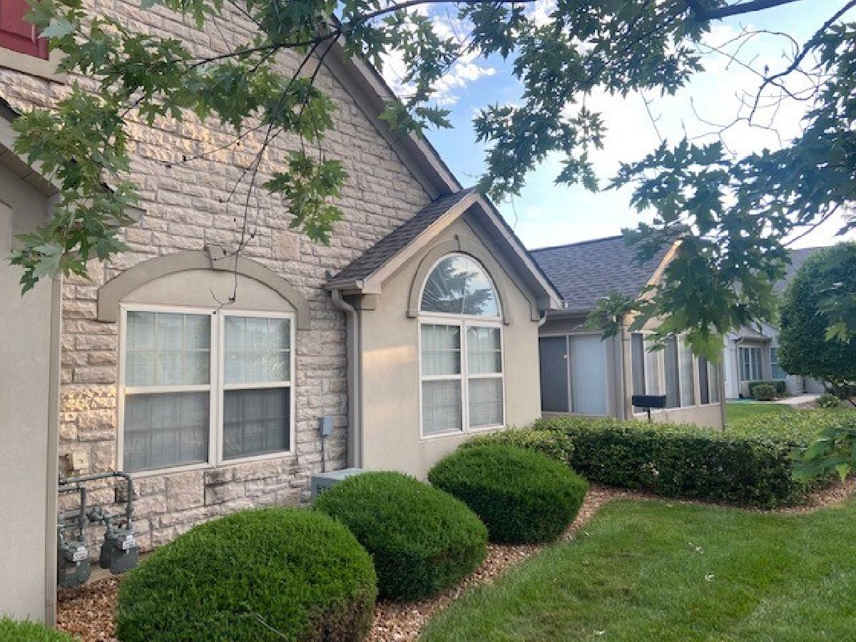Townhomes & Condos Sold Heritage Club Villas Tinley Park Illinois, 18272 Murphy