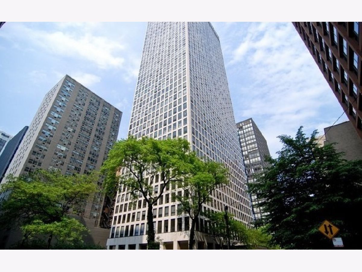 Condominiums Rented Plaza On Dewitt Chicago Illinois, 260 Chestnut