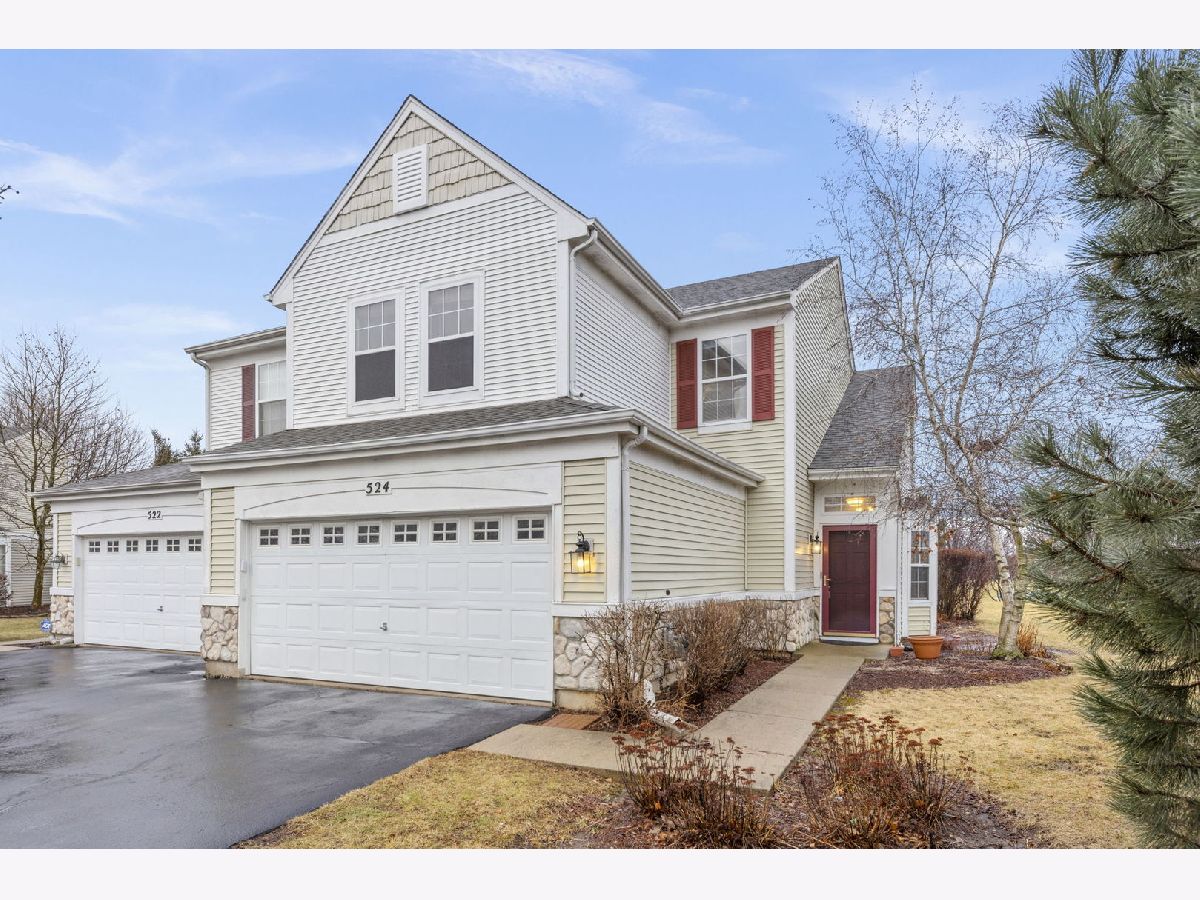 Townhomes & Homes Sold Pinebrook Bolingbrook Illinois, 524 Pinebrook