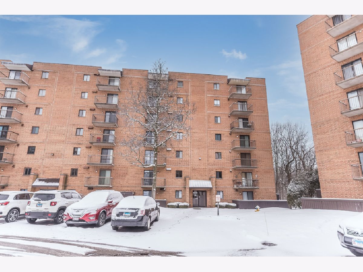 Condos & Townhomes & Homes Rented Edgewater Walk Tinley Park Illinois, 6040 Lake Bluff