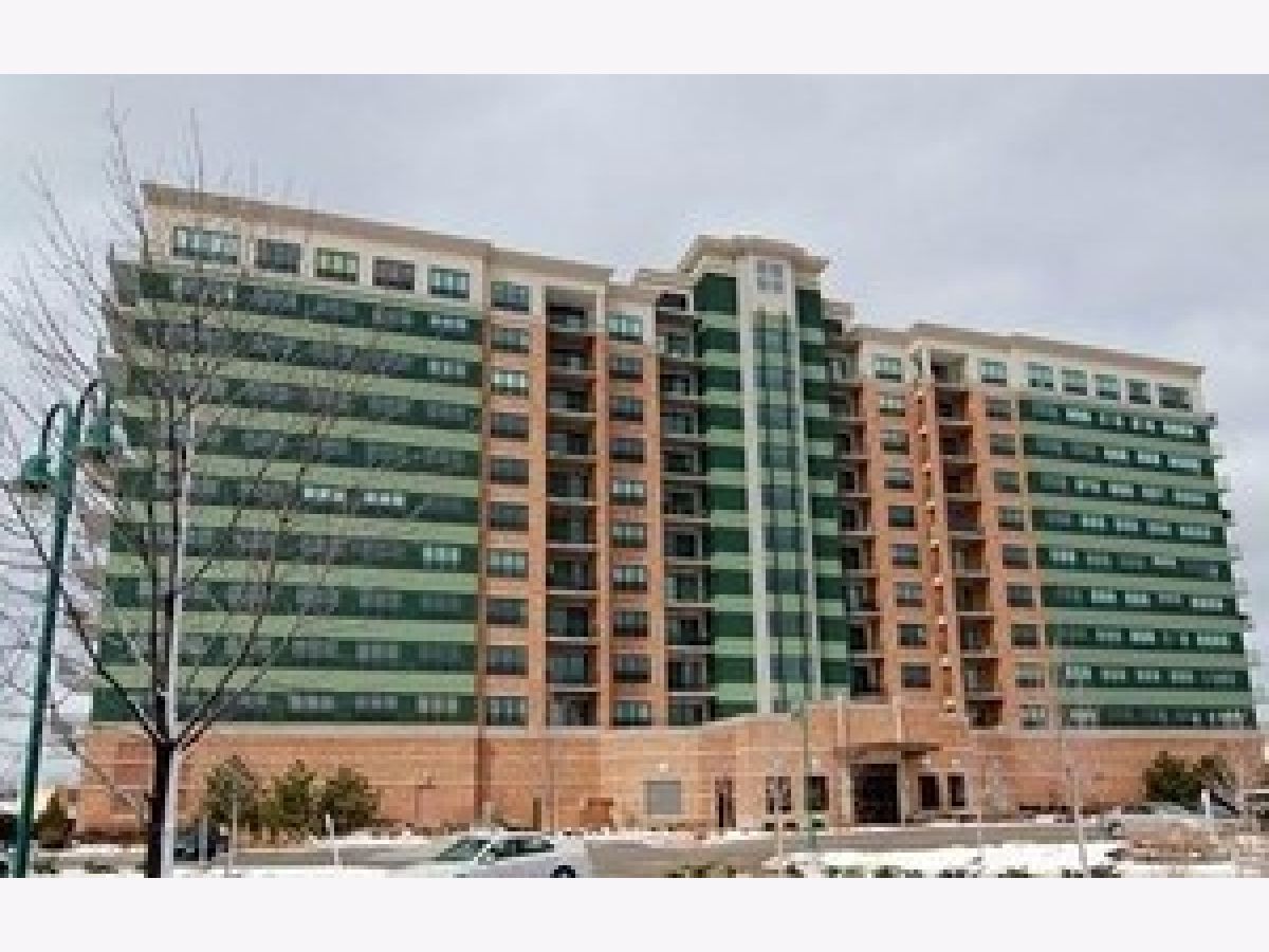 Homes & Condos & Townhomes Rented Seven Bridges Woodridge Illinois, 6420 Double Eagle