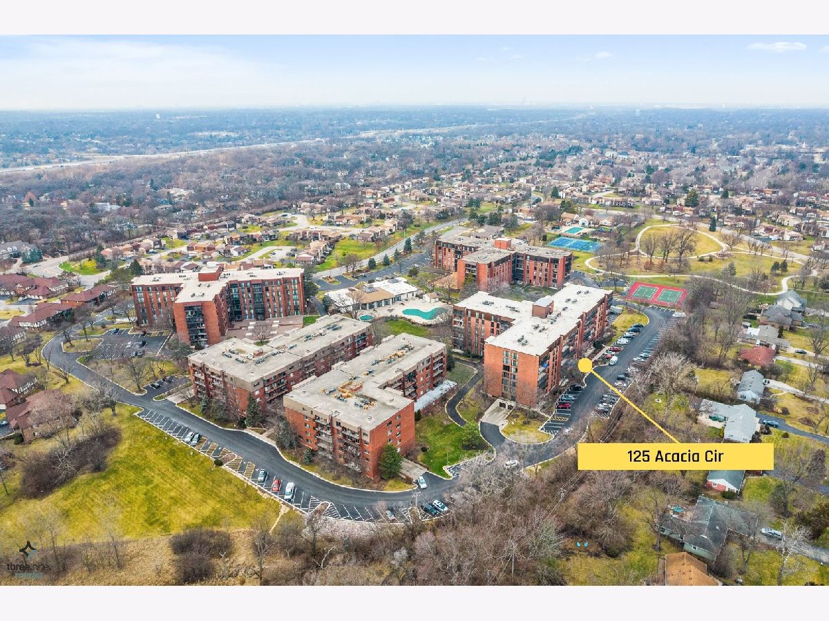 125 Acacia Circle, Indian Head Park, Illinois 60525 MLS 11710418
