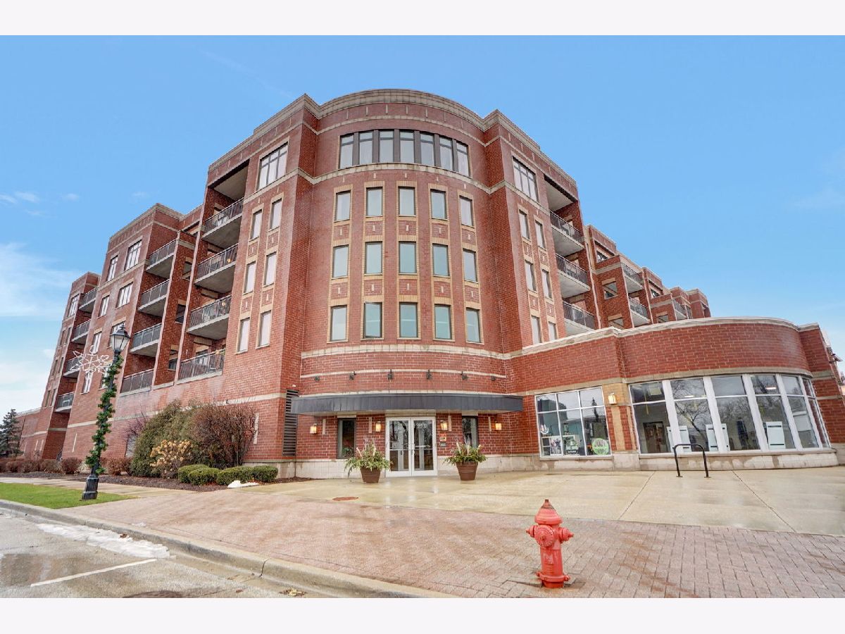 Condominiums Sold Park Street Crossing Roselle Illinois, 225 Main