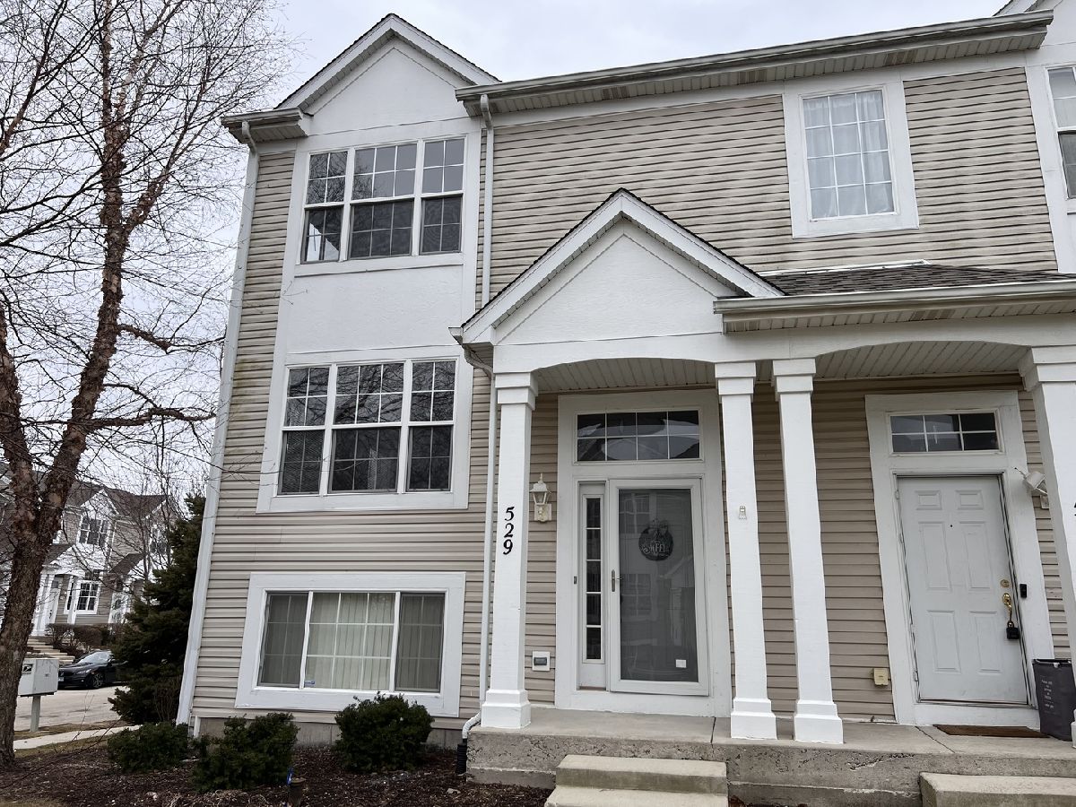 Townhomes & Condos & Homes Rented Silver Leaf Joliet Illinois, 529 Silver Leaf