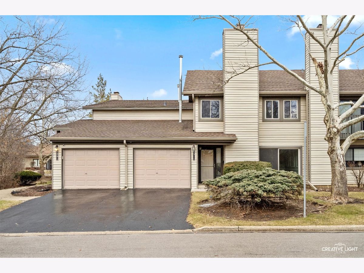 Townhomes & Condos Sold Springside Downers Grove Illinois, 6311 Wells