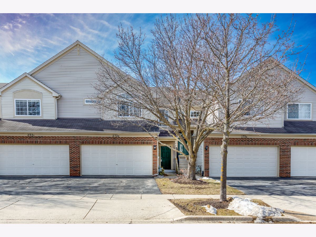 Townhomes & Homes Sold Thornwood Grove South Elgin Illinois, 272 Nicole