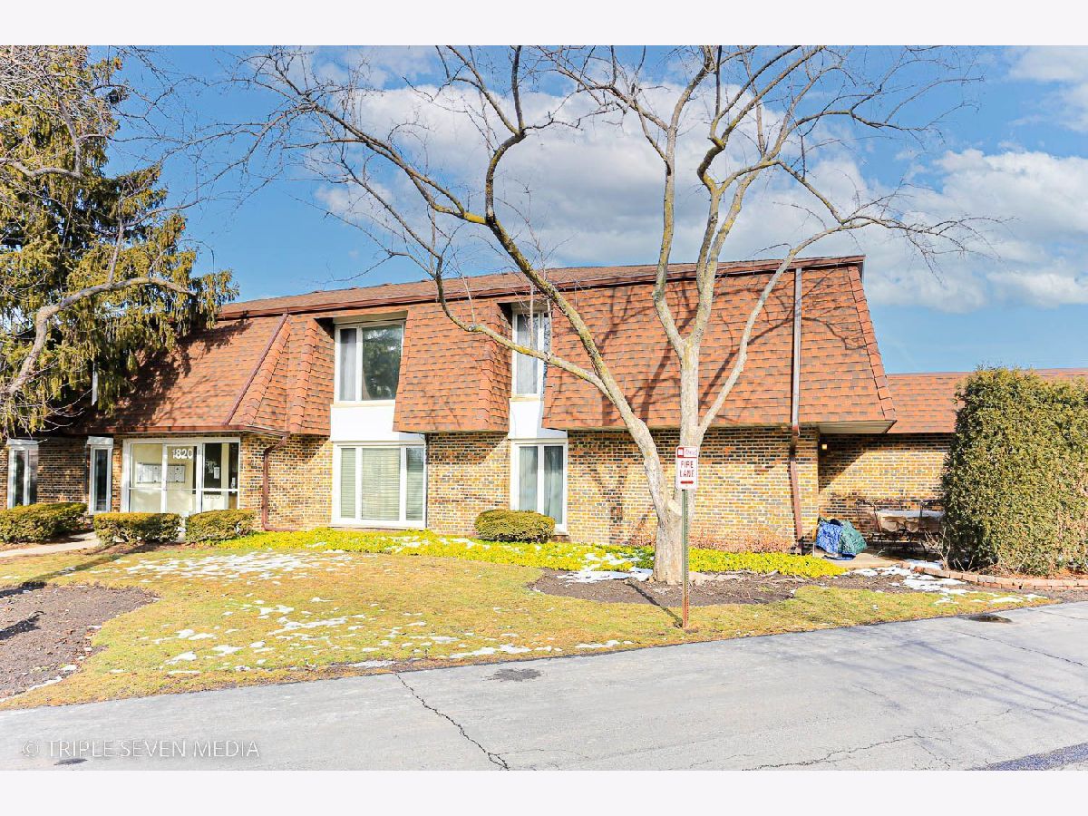 Townhomes & Condos & Homes Sold Surrey Park Arlington Heights Illinois, 1820 Surrey Park