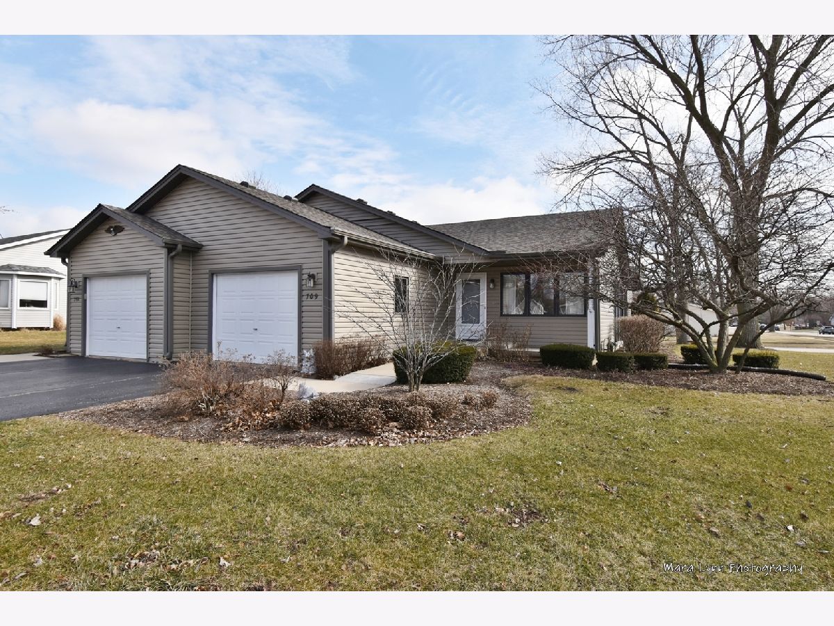 Condos & Townhomes Sold Silver Trail North Aurora Illinois, 709 Harmony