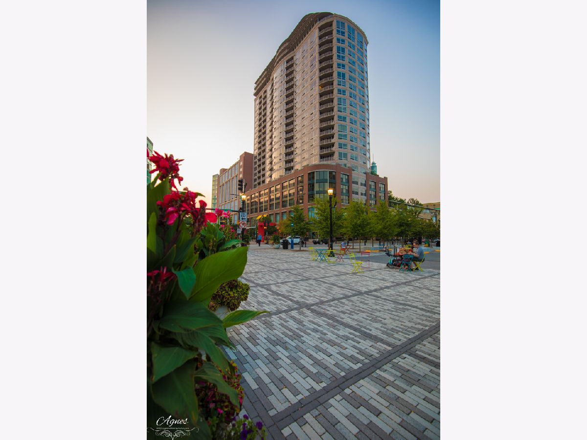 Condominiums Rented Sherman Plaza Evanston Illinois, 807 Davis