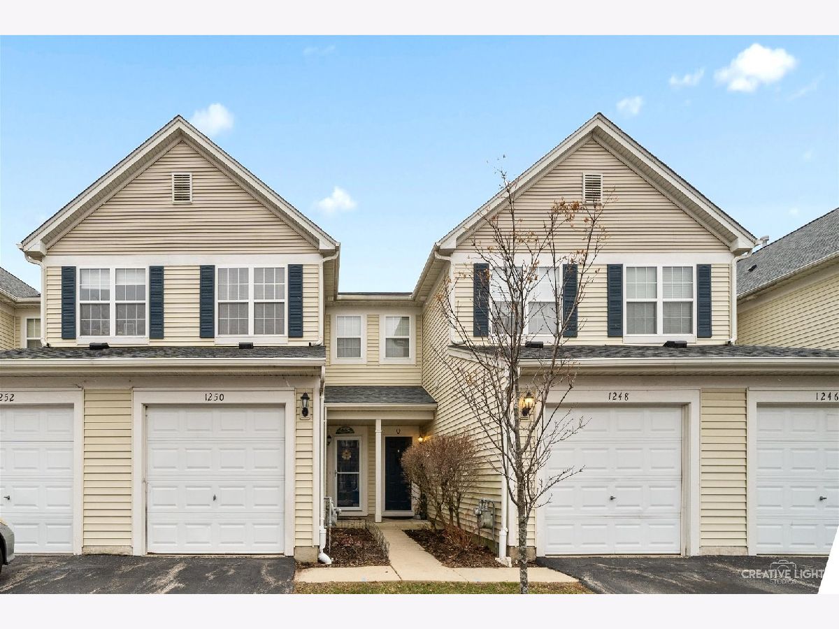 Townhomes & Homes Sold Aragon Carpentersville Illinois, 1250 Brookdale