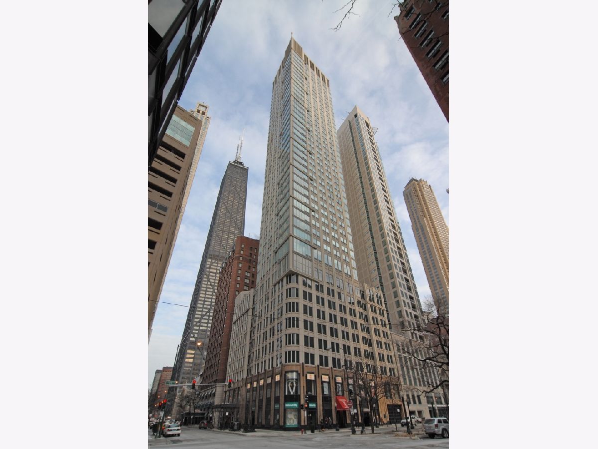 Condominiums Rented The Bristol Chicago Illinois, 57 Delaware