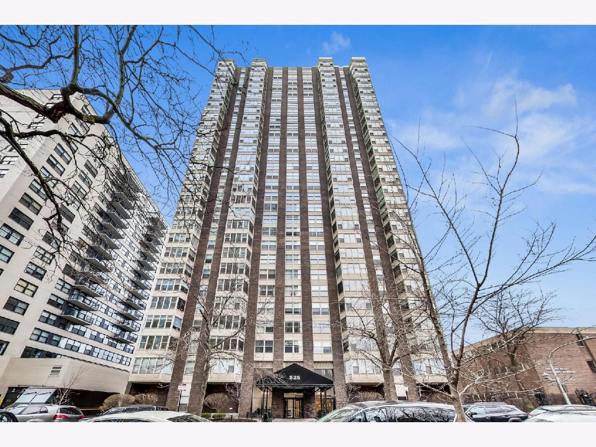 Condos & Townhomes & Homes Sold Hawthorne Place Chicago Illinois, 525 Hawthorne