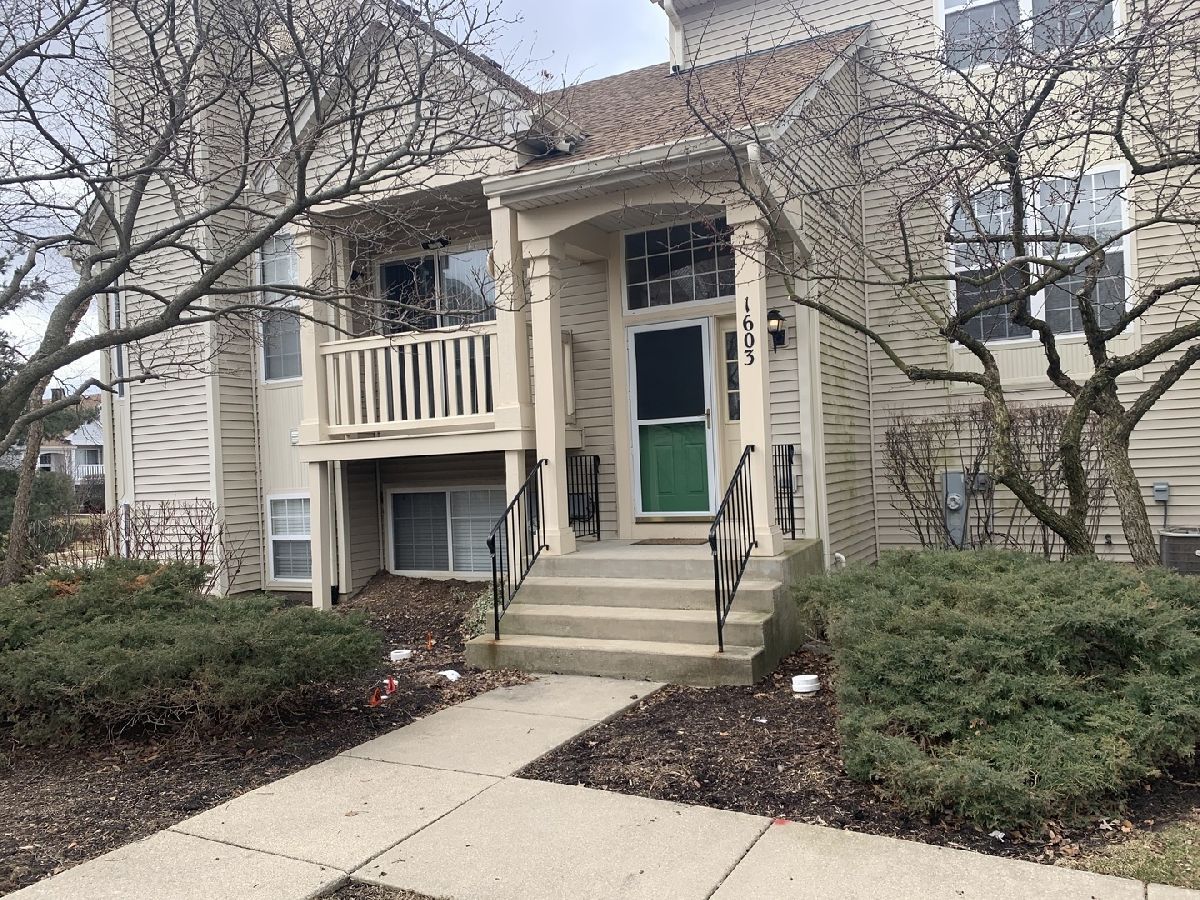 Townhomes & Homes Rented Greystone Gurnee Illinois, 1603 Silvergate