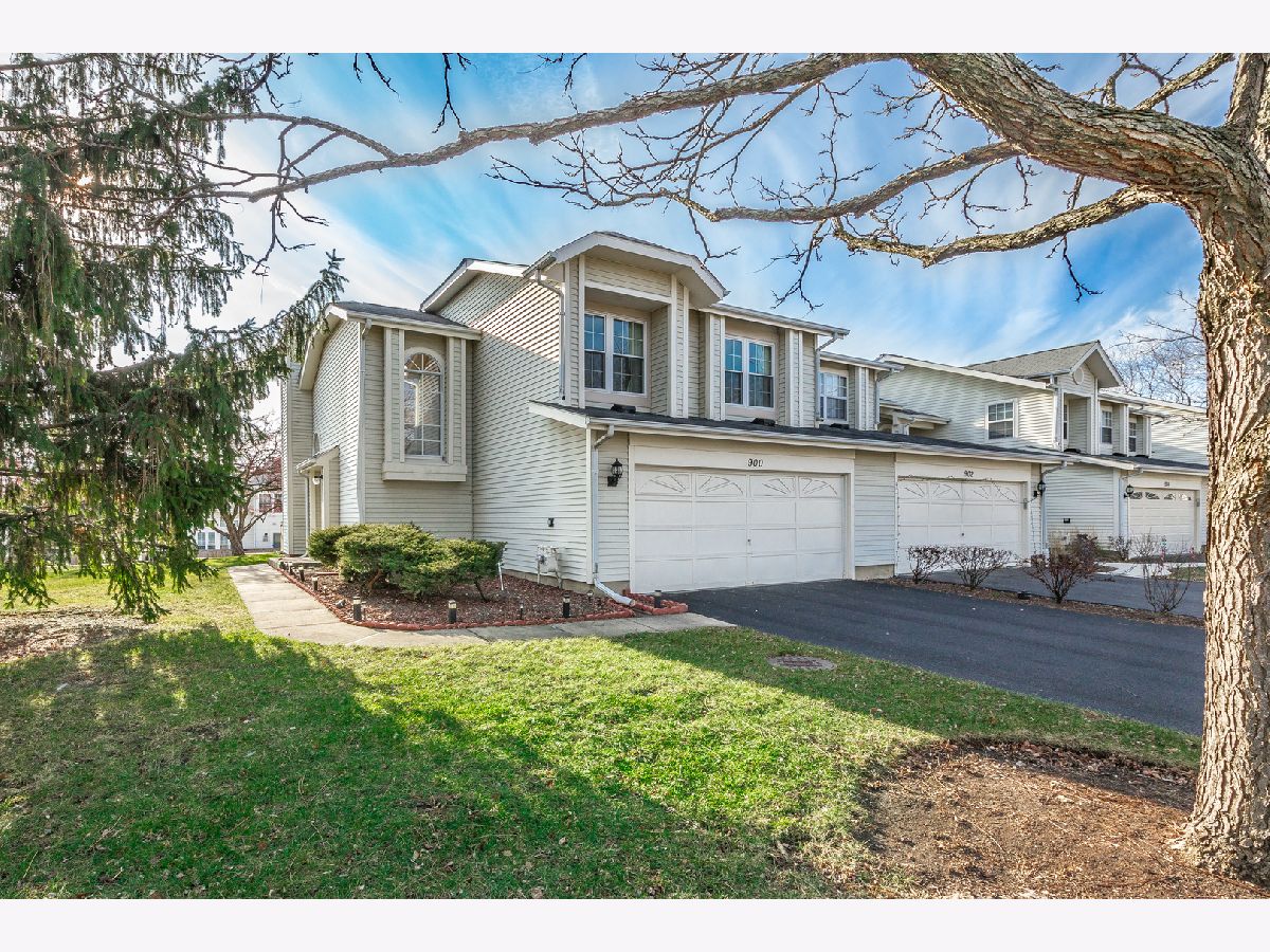Townhomes & Homes Rented Weathersfield North Schaumburg Illinois, 900 Sturnbridge