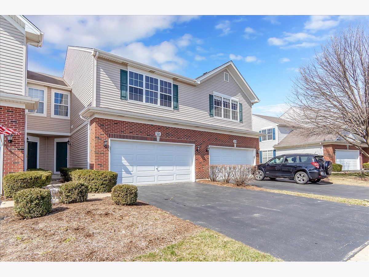 Townhomes & Condos Sold The Townes Of Blackberry Oswego Illinois, 321 Grape Vine