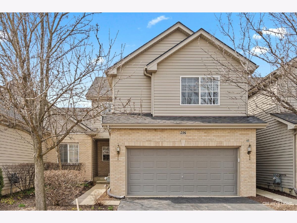 Condos & Townhomes & Homes Sold Madison Homes Elgin Illinois, 536 Madison