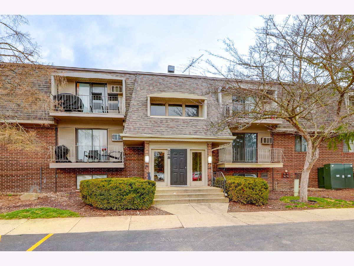 Condominiums Rented Olive Trees Naperville Illinois, 248 Bailey